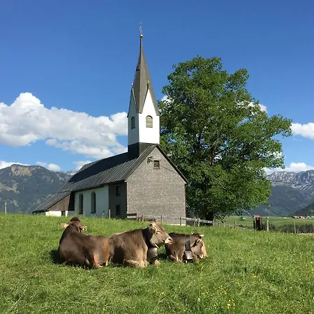 Sonnenblume Mit Infrarotkabine Und Sommer Hoernerbahnen Kostenlos Апартаменты Больстерланг